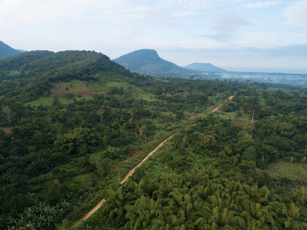 The Liati Wote valley from above