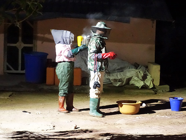 The beekeeper using smoke to subdue the few bees that sticked to the protective gear after they visted the hive