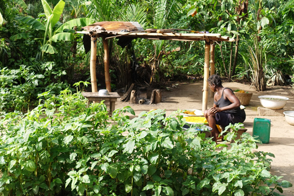 Extracting process of palm oil from the paste (kernels and fibres)