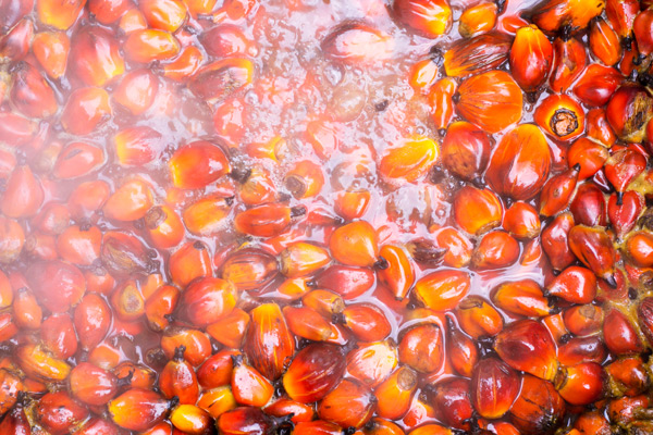 Boiling the palm nuts