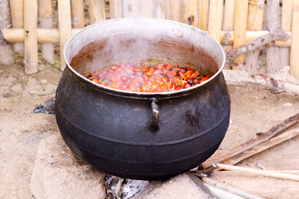 Boiling the palm nuts