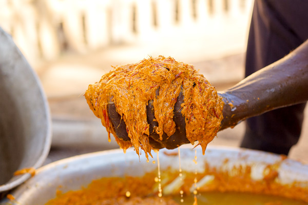 Extracting process of palm oil from the paste (kernels and fibres)