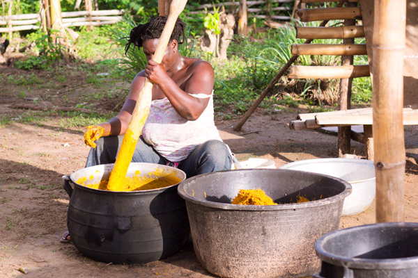Pounding the boiled palm nuts to separate palm nuts, palm fibres and palm oil