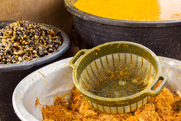 Extracting process of palm oil from the paste (kernels and fibres)