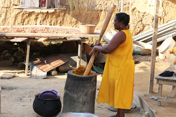 Pounding the boiled palm nuts to separate palm nuts, palm fibres and palm oil