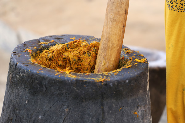 Pounding the boiled palm nuts to separate palm nuts, palm fibres and palm oil